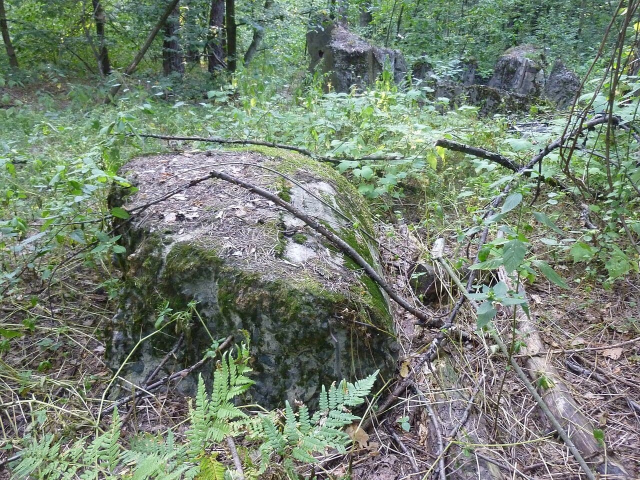 ДВТ № 511 КИУР