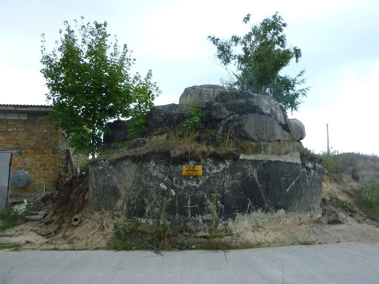 ДВТ № 485 КИУР
