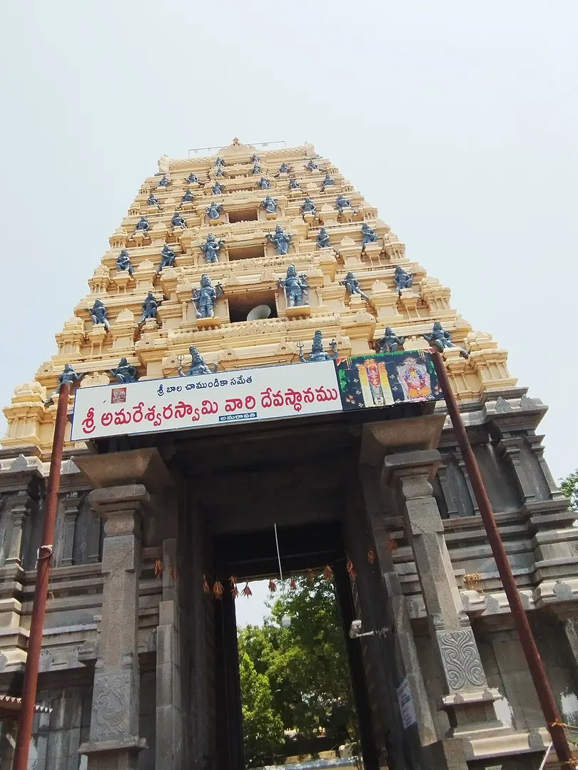 Amareswaraswamy Temple