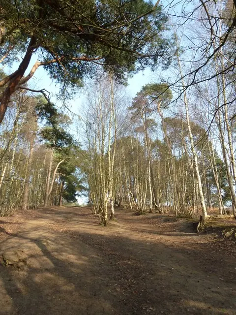 St Martha's Hill