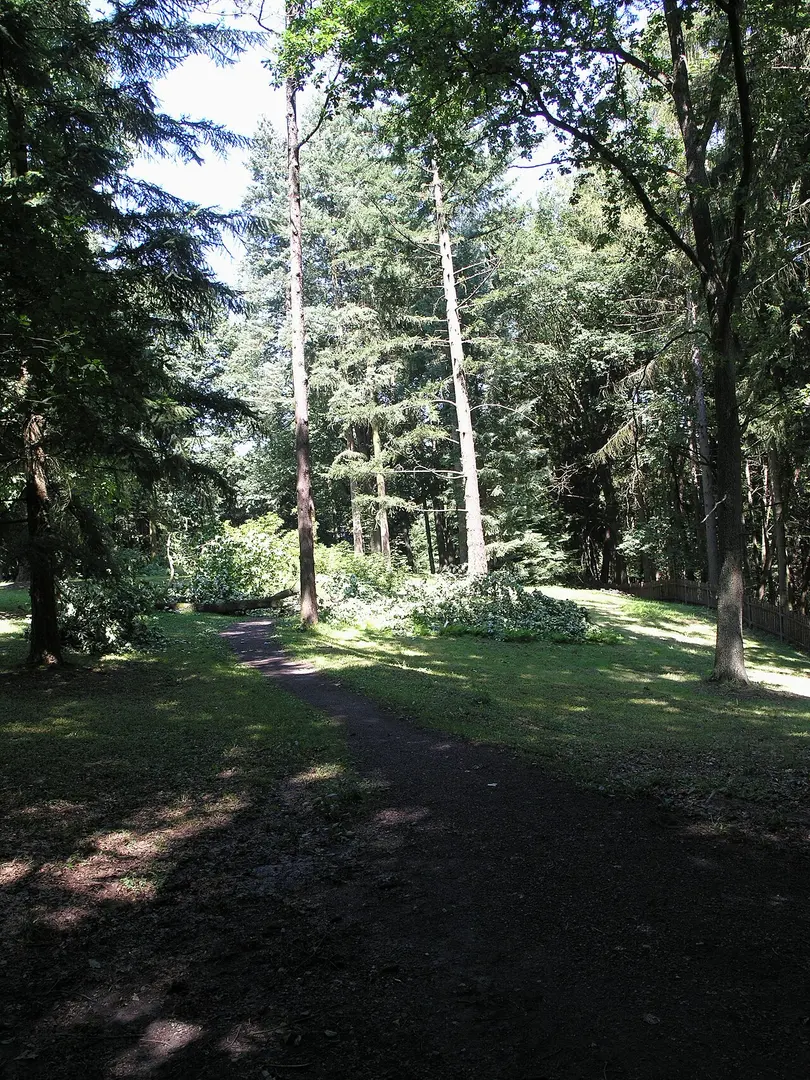 Arboretum Bukovina