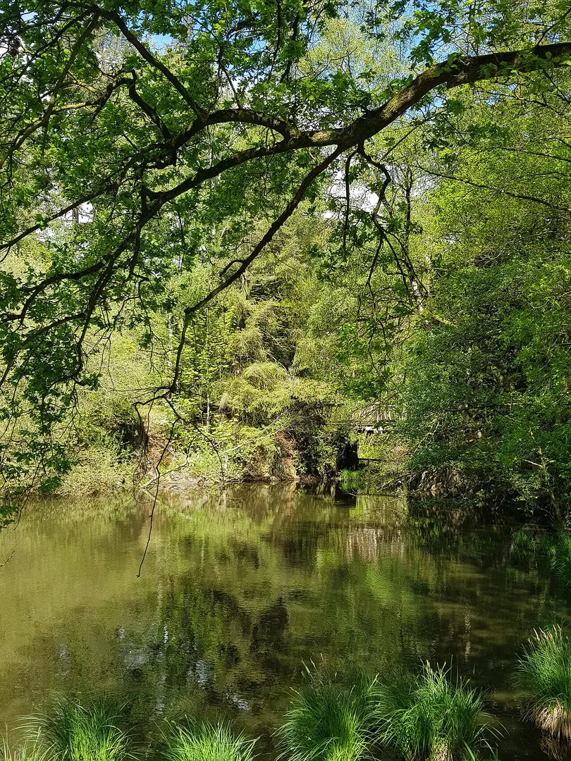 Biotopwildpark Anholter Schweiz