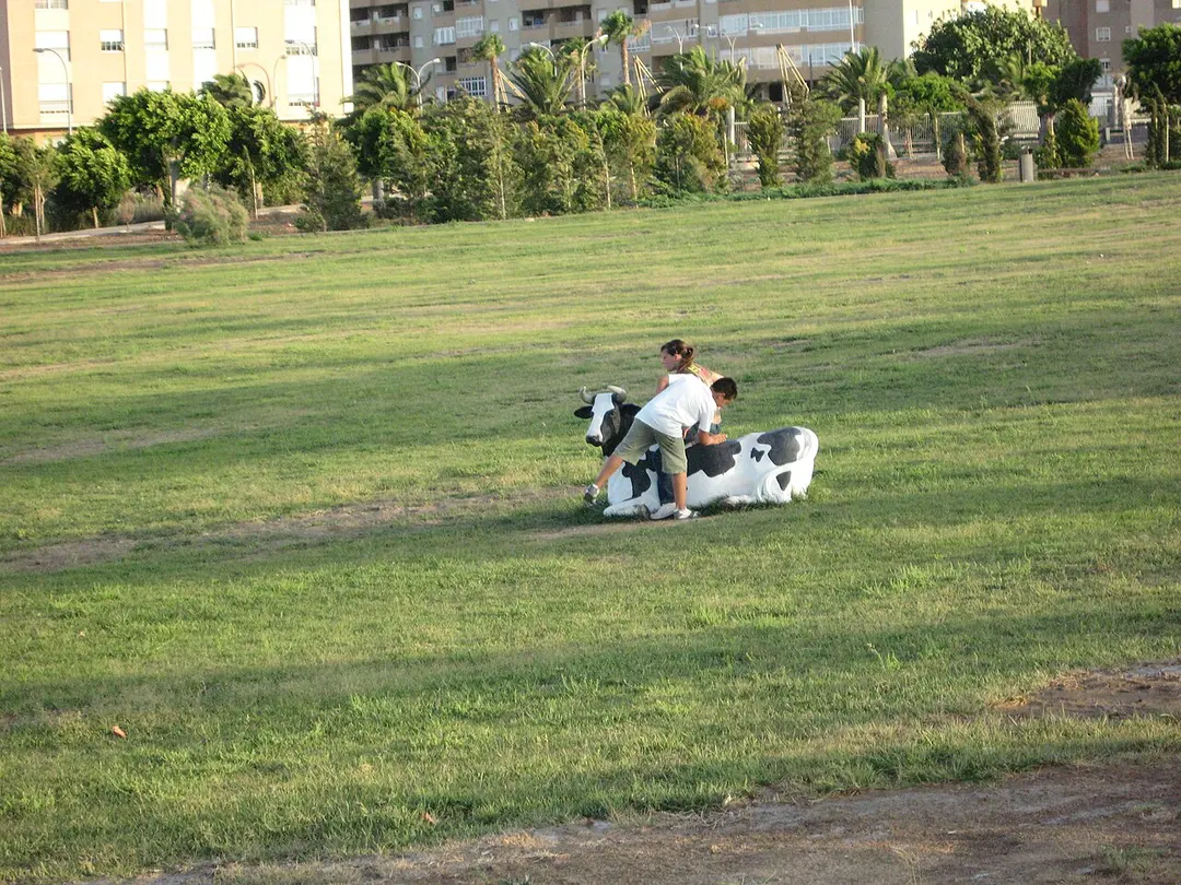 Parque Forestal, Melilla