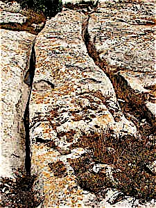 Għar Dalam
