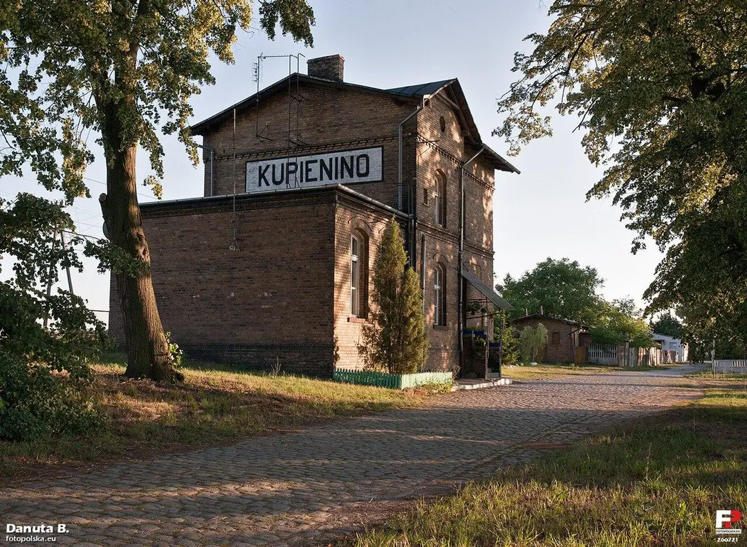 Kupienino