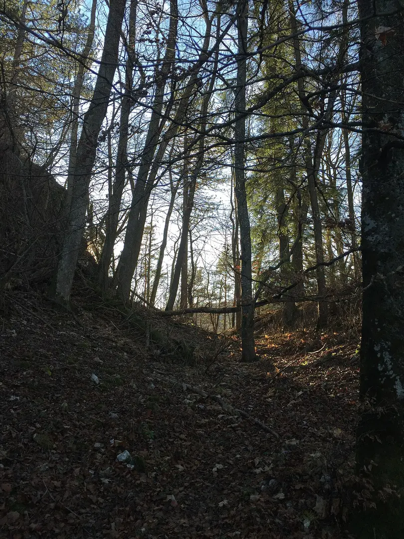 Burgruine Wenzelstein
