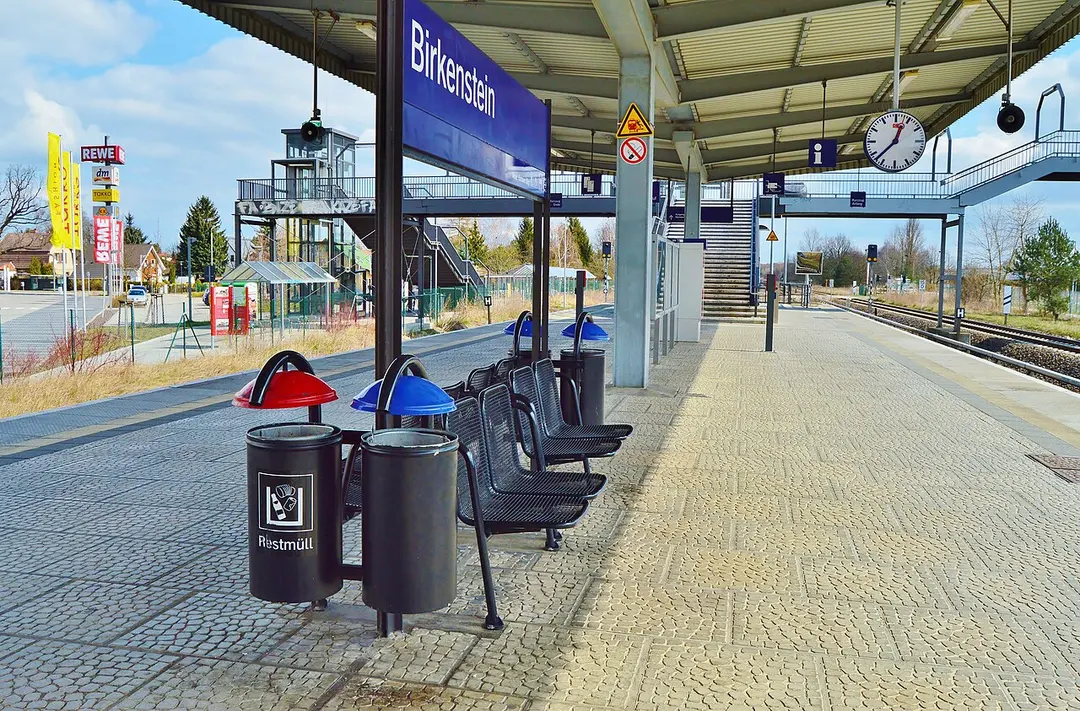 Birkenstein