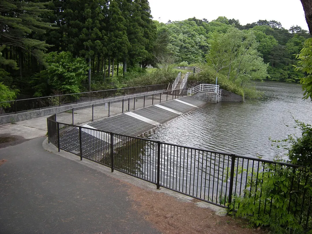 Mizunomori Park