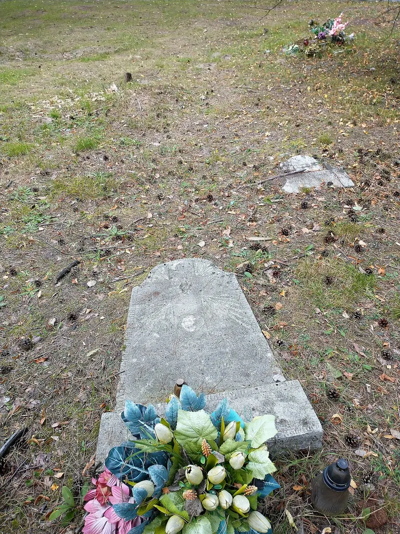Friedhof Miłostowo