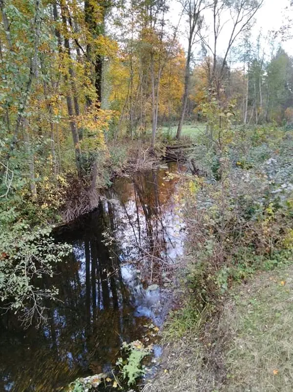 Zvirgzde River