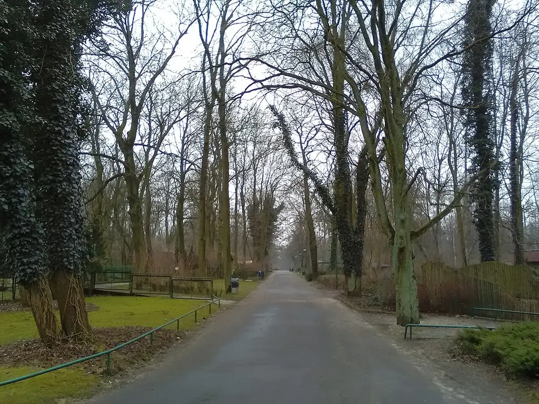 New Zoo