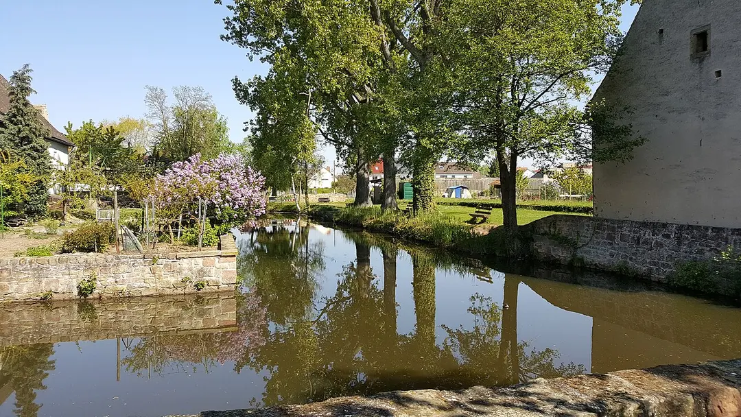 Burg Friedelsheim