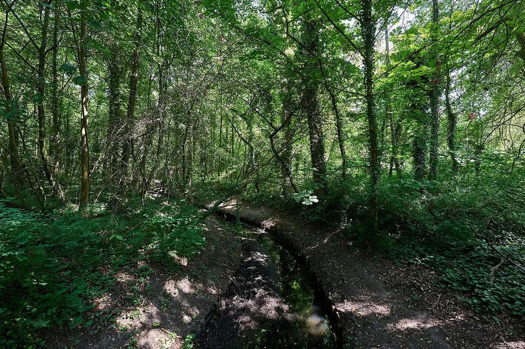 Steinbergpark