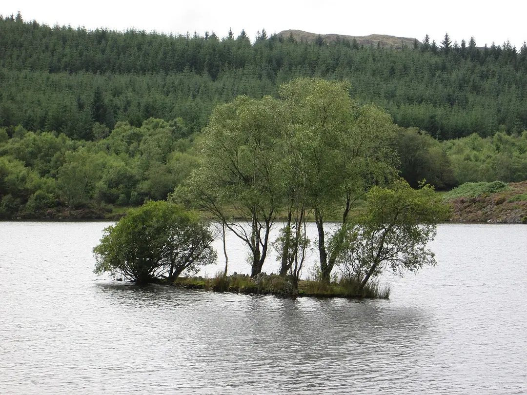 Llyn Bodgynydd Mawr