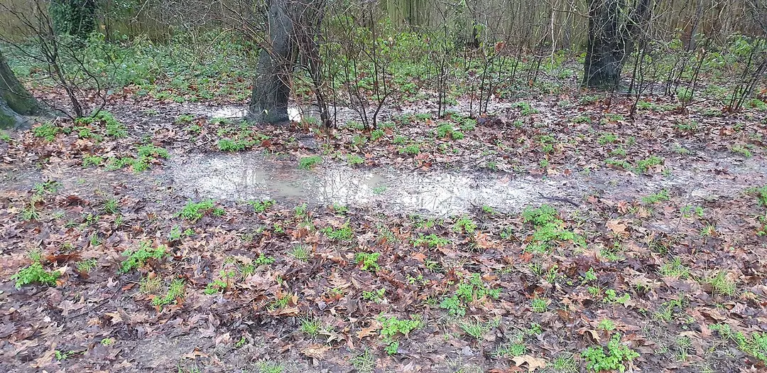 Oakwood Park