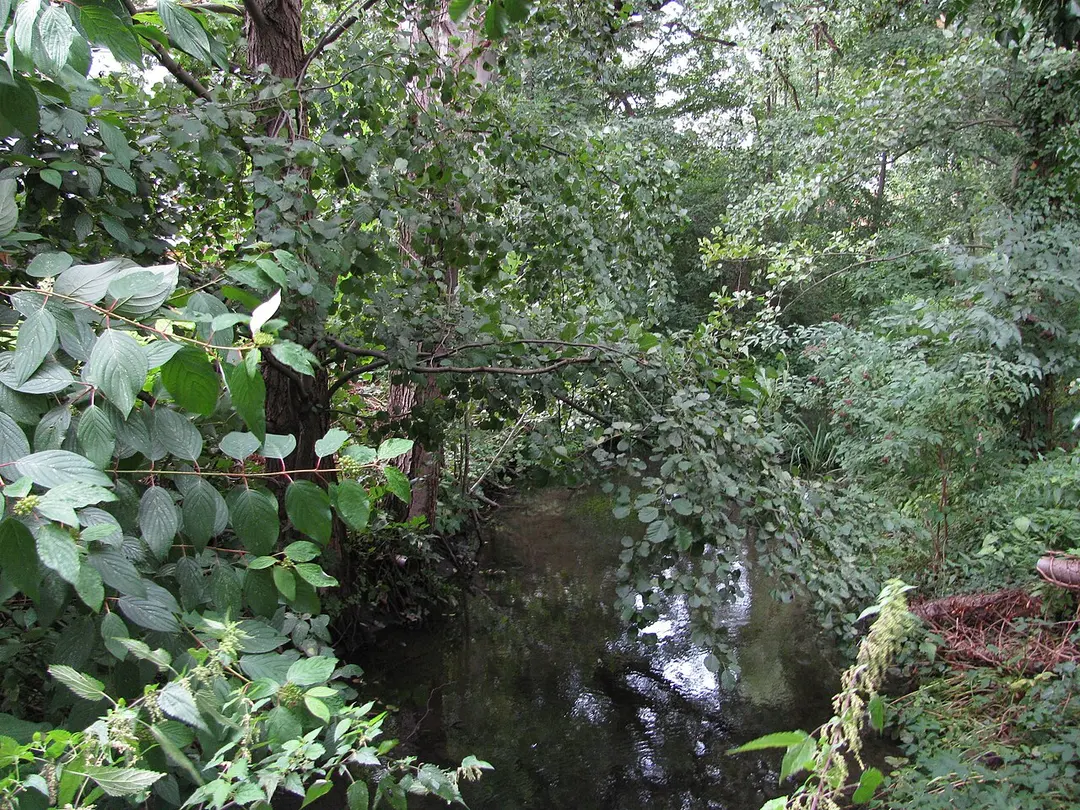 Am Hohmannhof