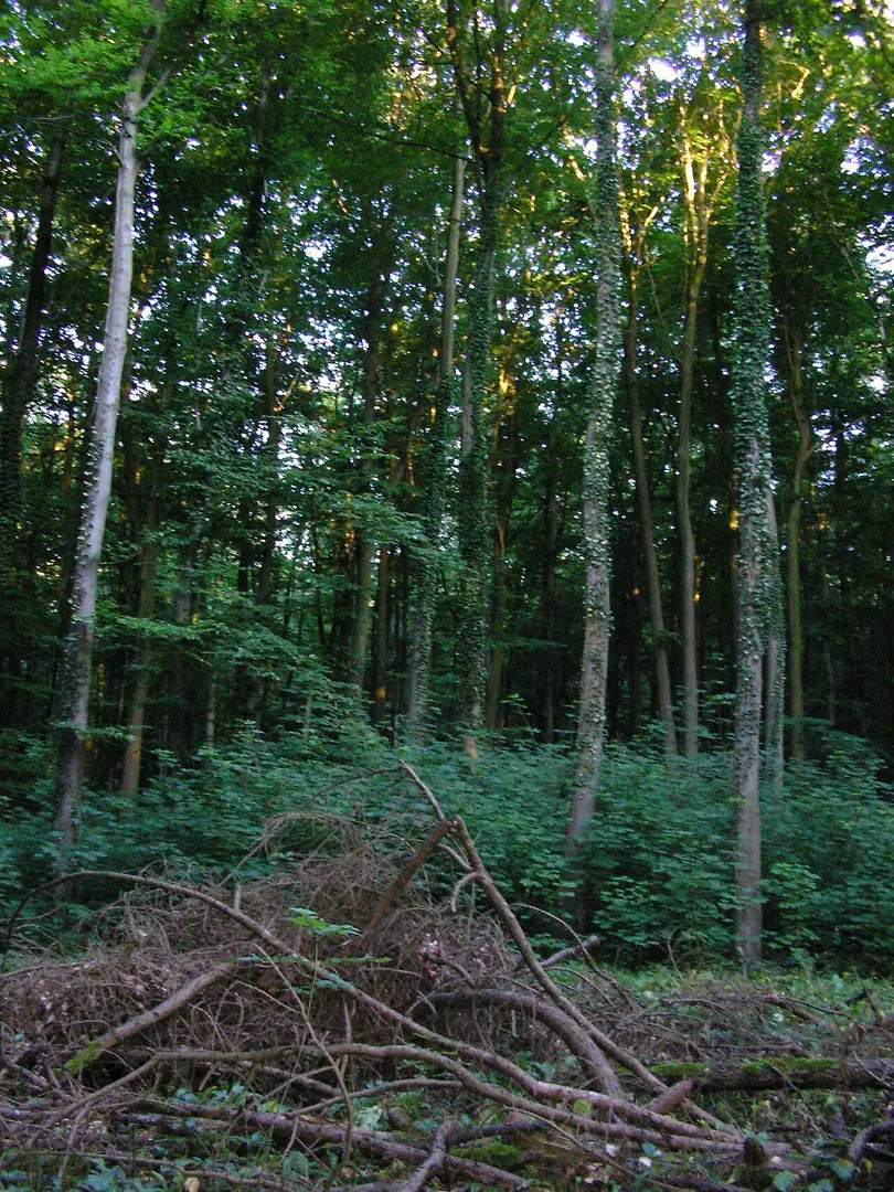 Sonnenwinkel