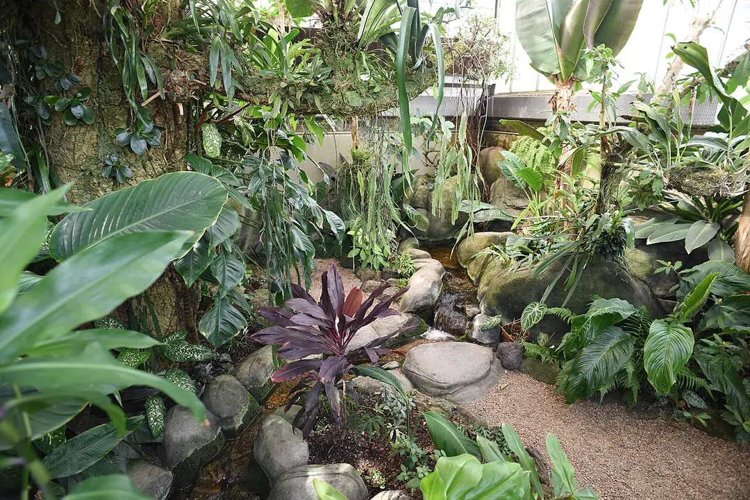 Van Landingham Glen