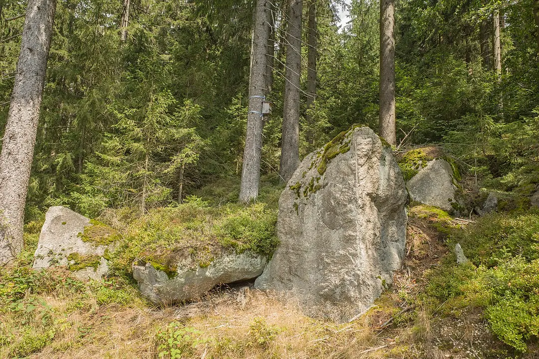 Seehügel