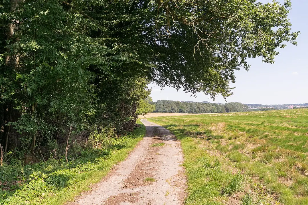 Schwarzer Bach / Sellenbach