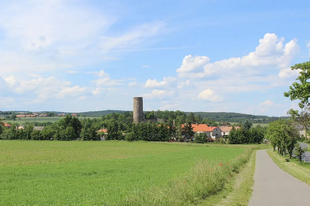 Burg Žebrák
