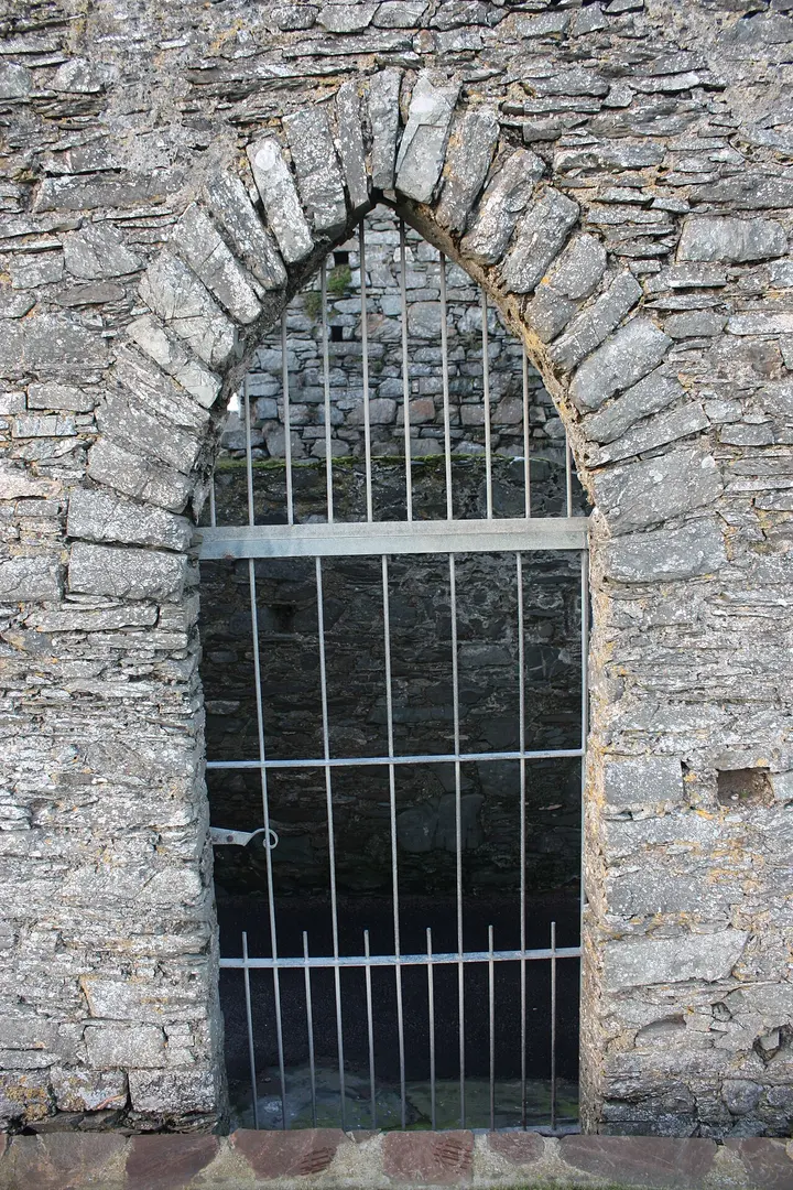 Ardglass Castle