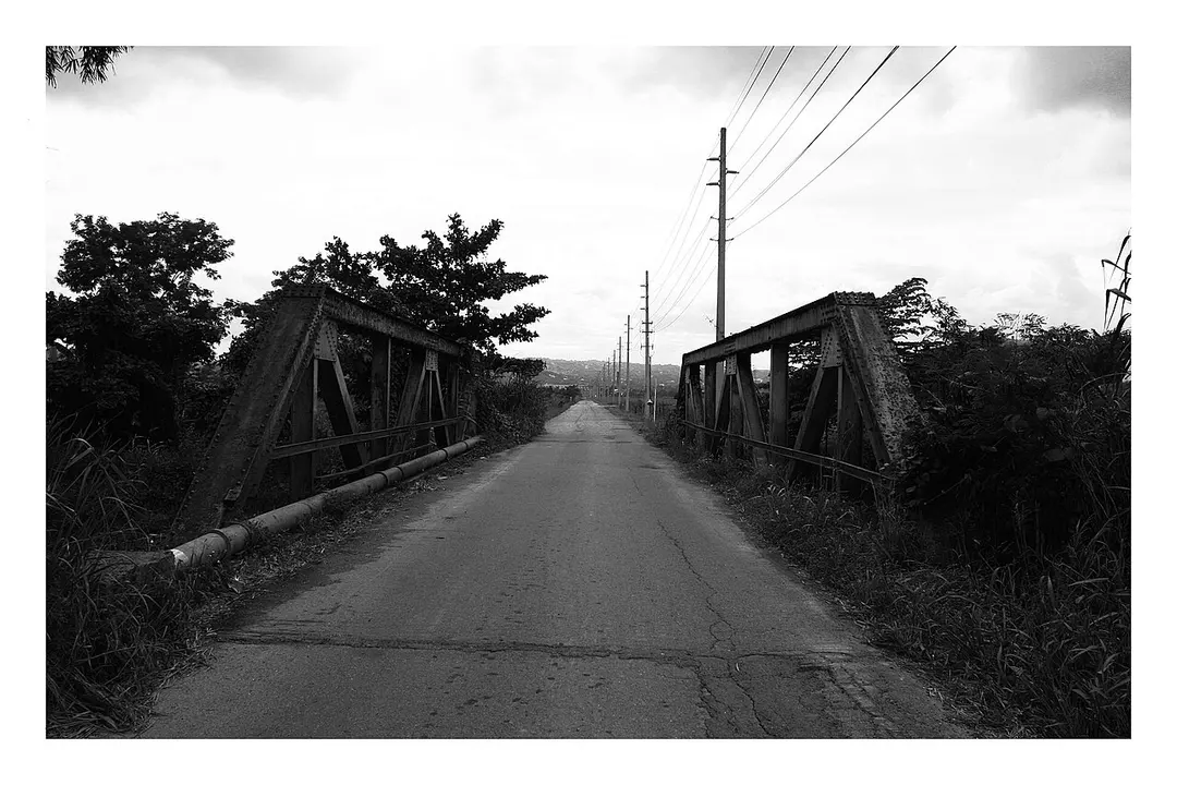 Puente Coloso (Nº 1142)