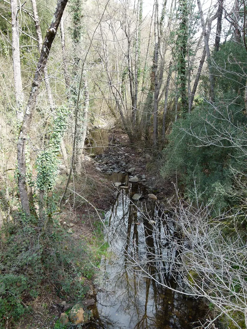 Pont de la Bisbal
