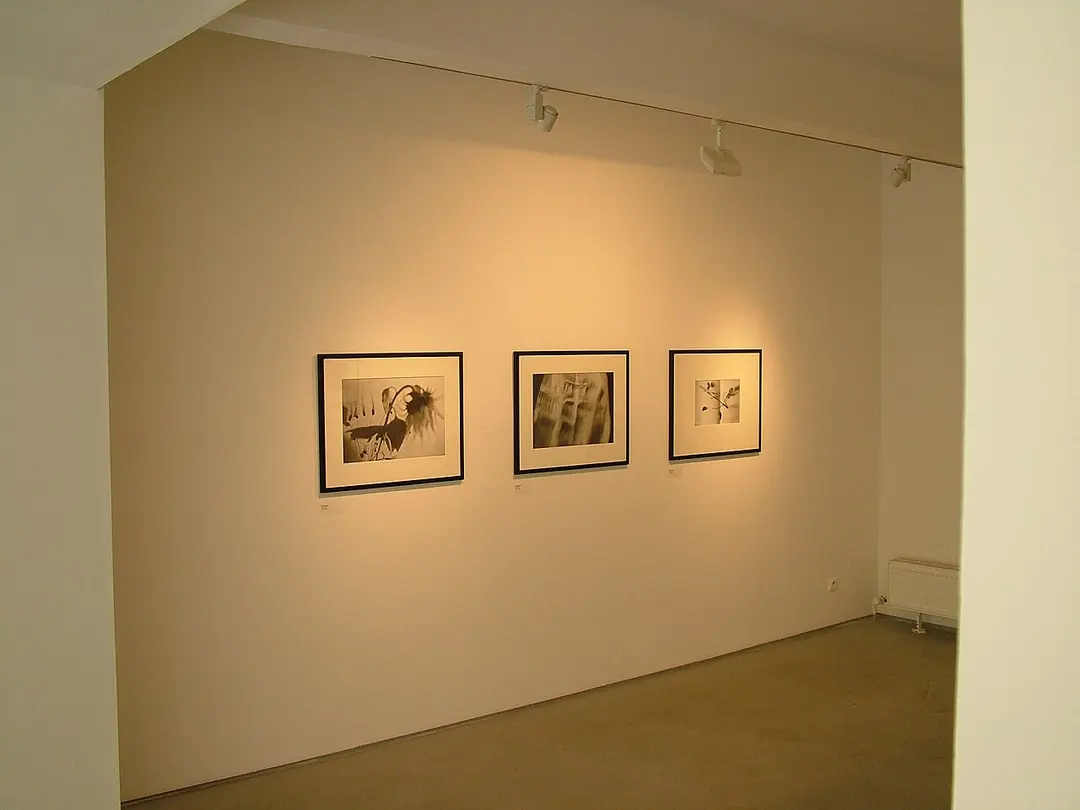 The Václav Špála Gallery