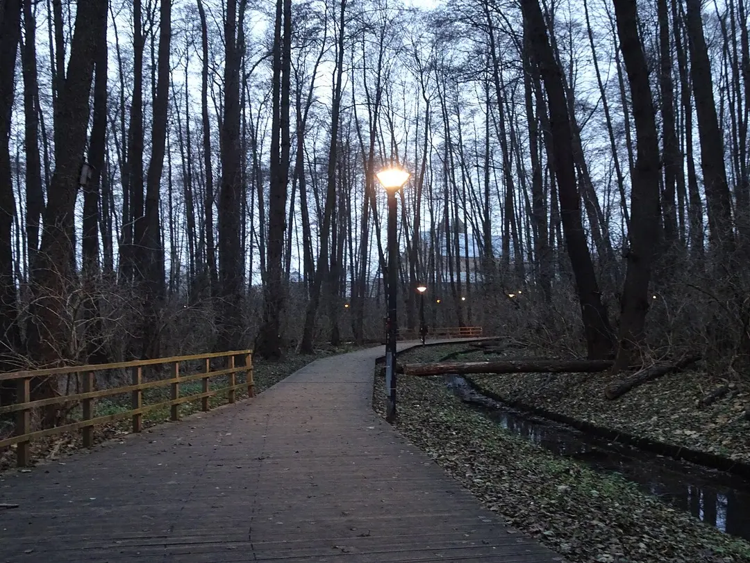 Park Olszyna