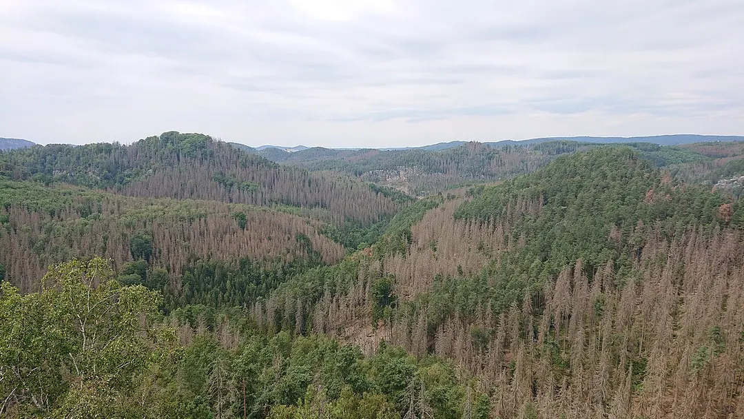 Zätzschenhorn