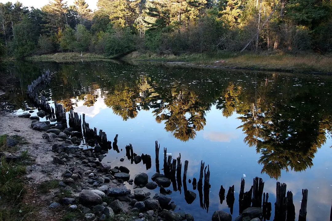 Ludington State Park