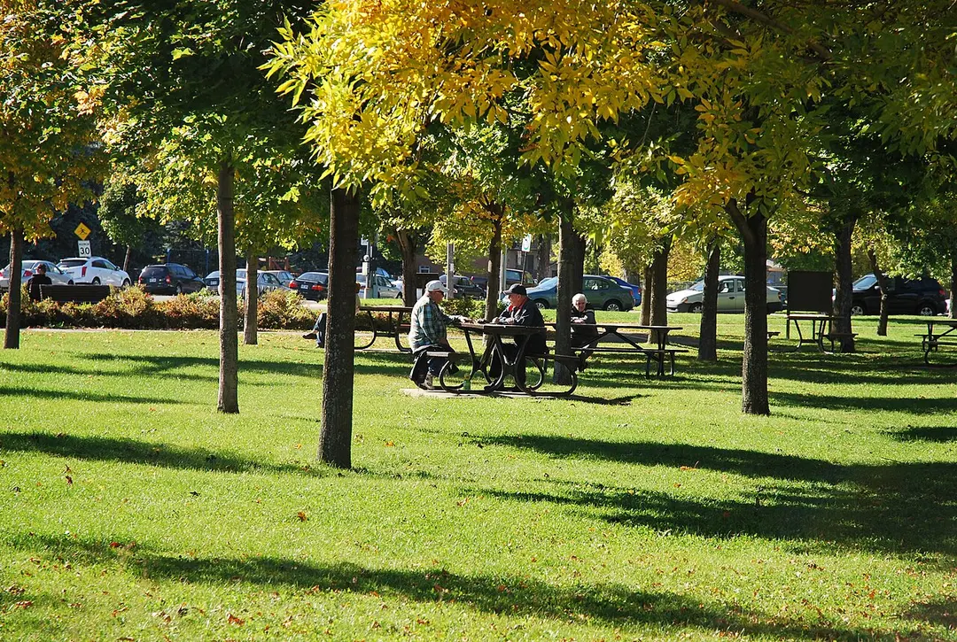 Parc de la Promenade-Bellerive