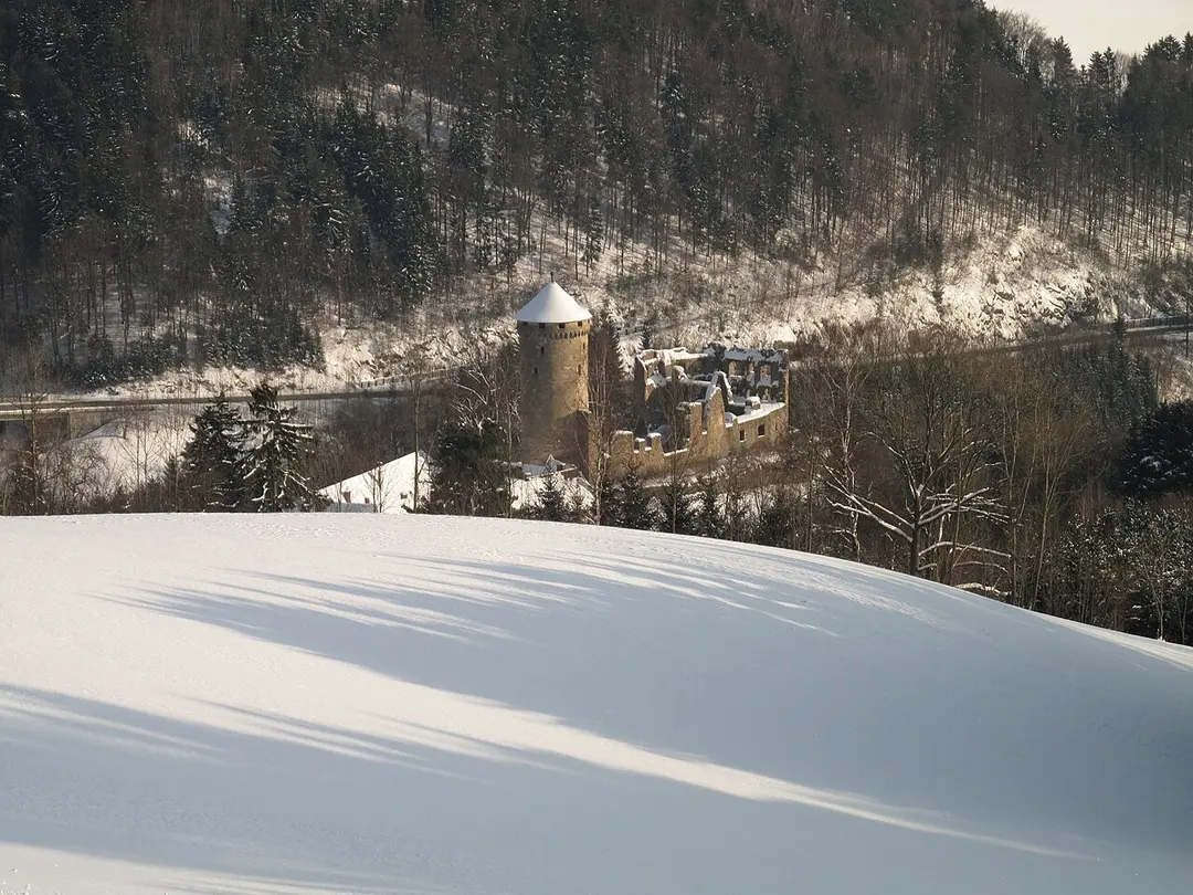 Ruine Wildberg