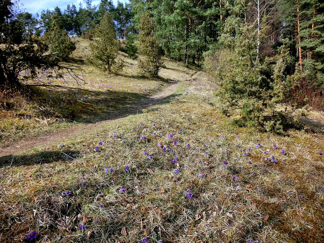 Trockenhänge um Pottenstein