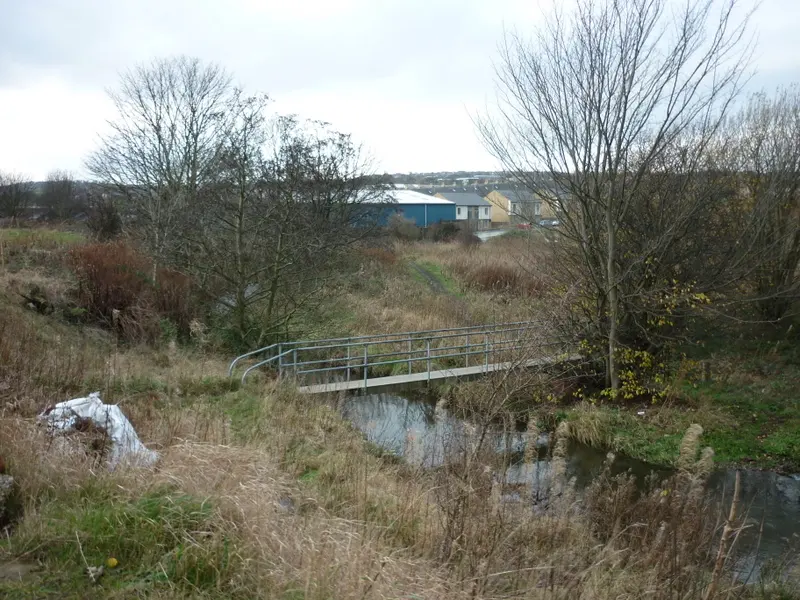 Bradford Beck