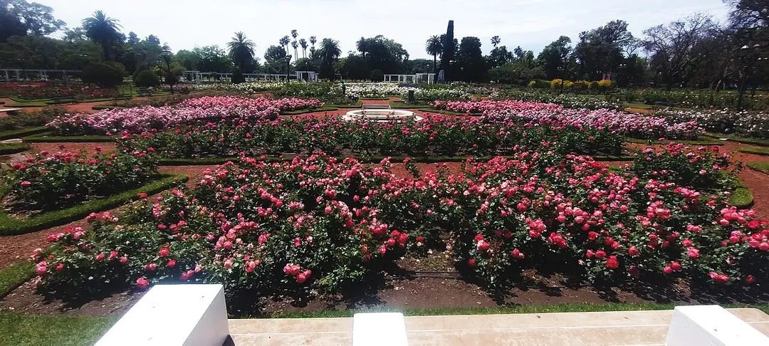El Rosedal De Palermo
