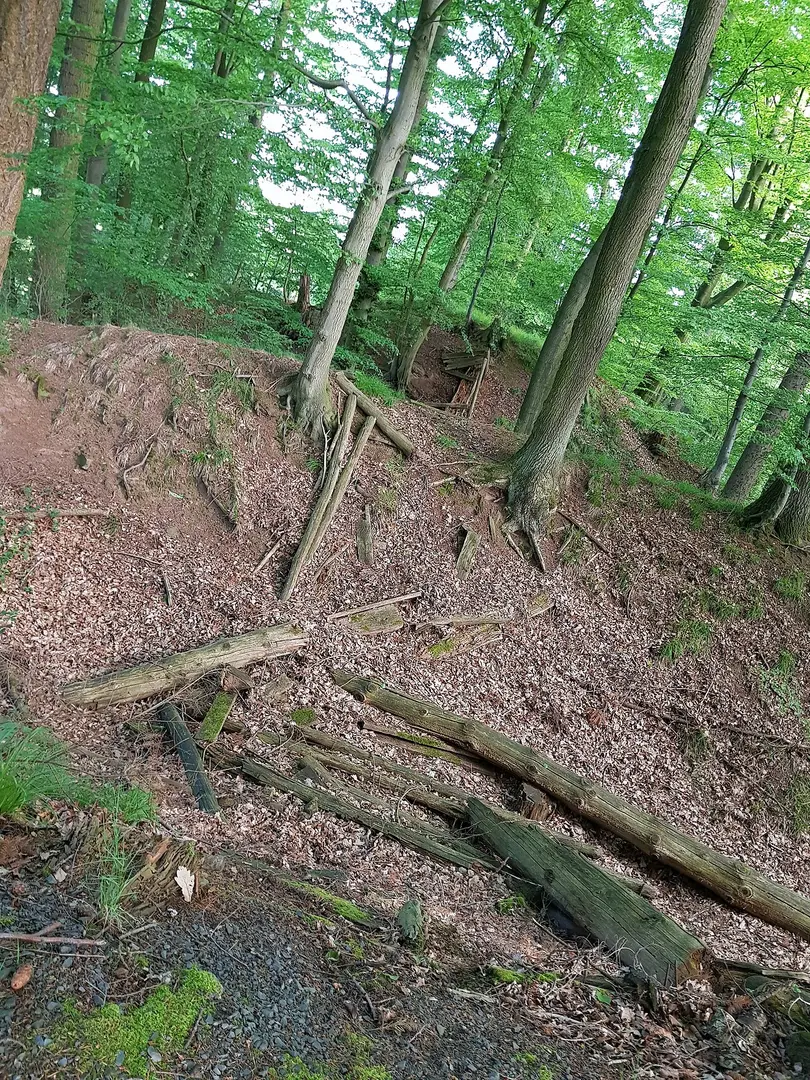 Motte bei Trögen