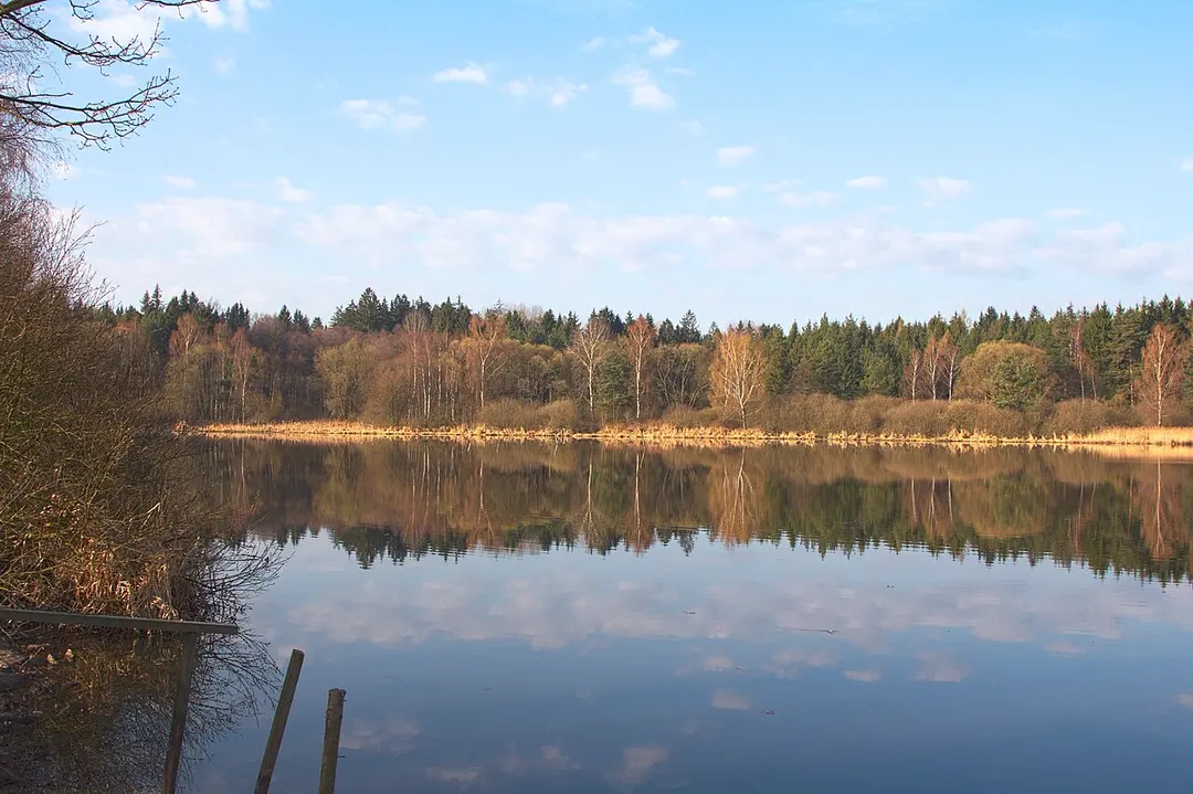 Kaliště