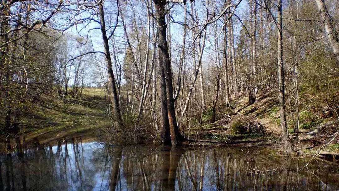 Hårsbäcksdalen