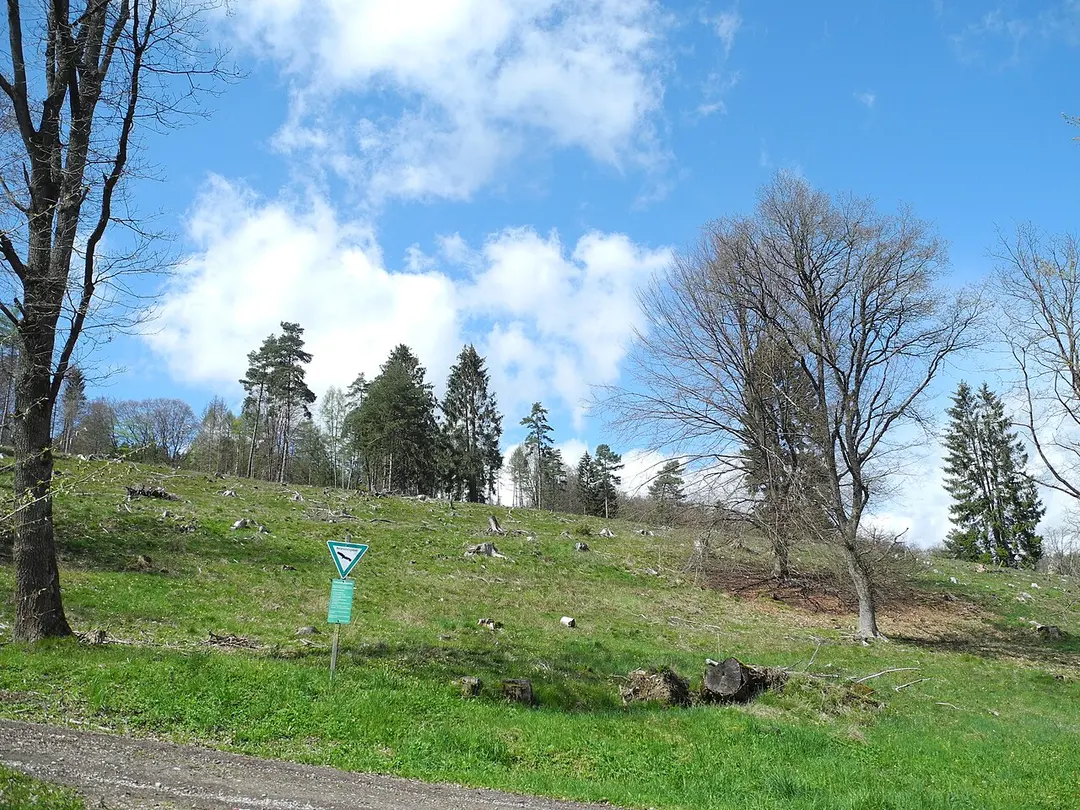 Wacholderheide bei Vockerode-Dinkelberg