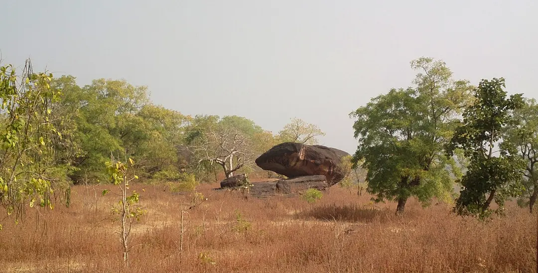 Bhimbetka rock shelters