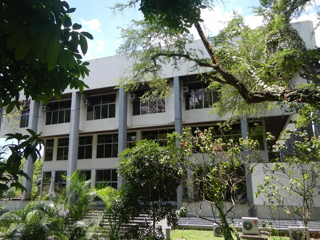 Vargas Museum
