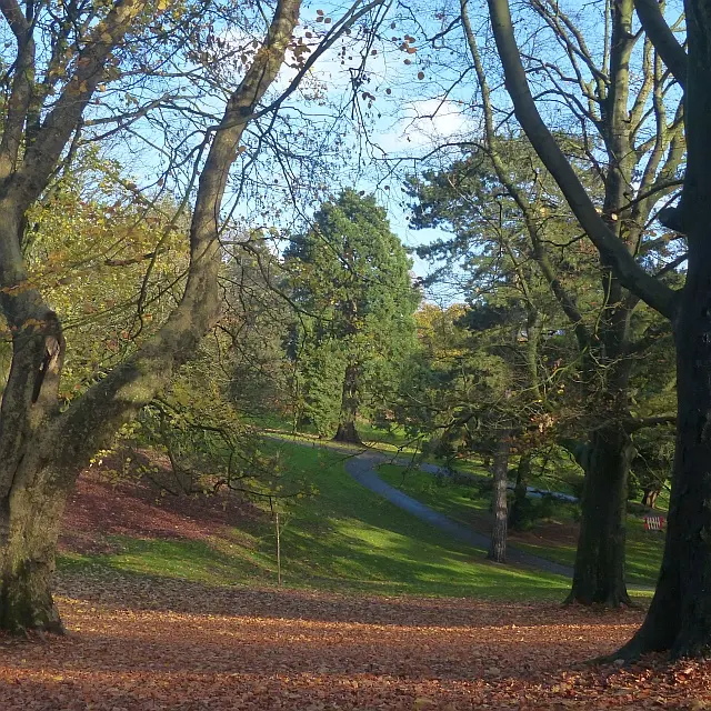 Belle Vue Park