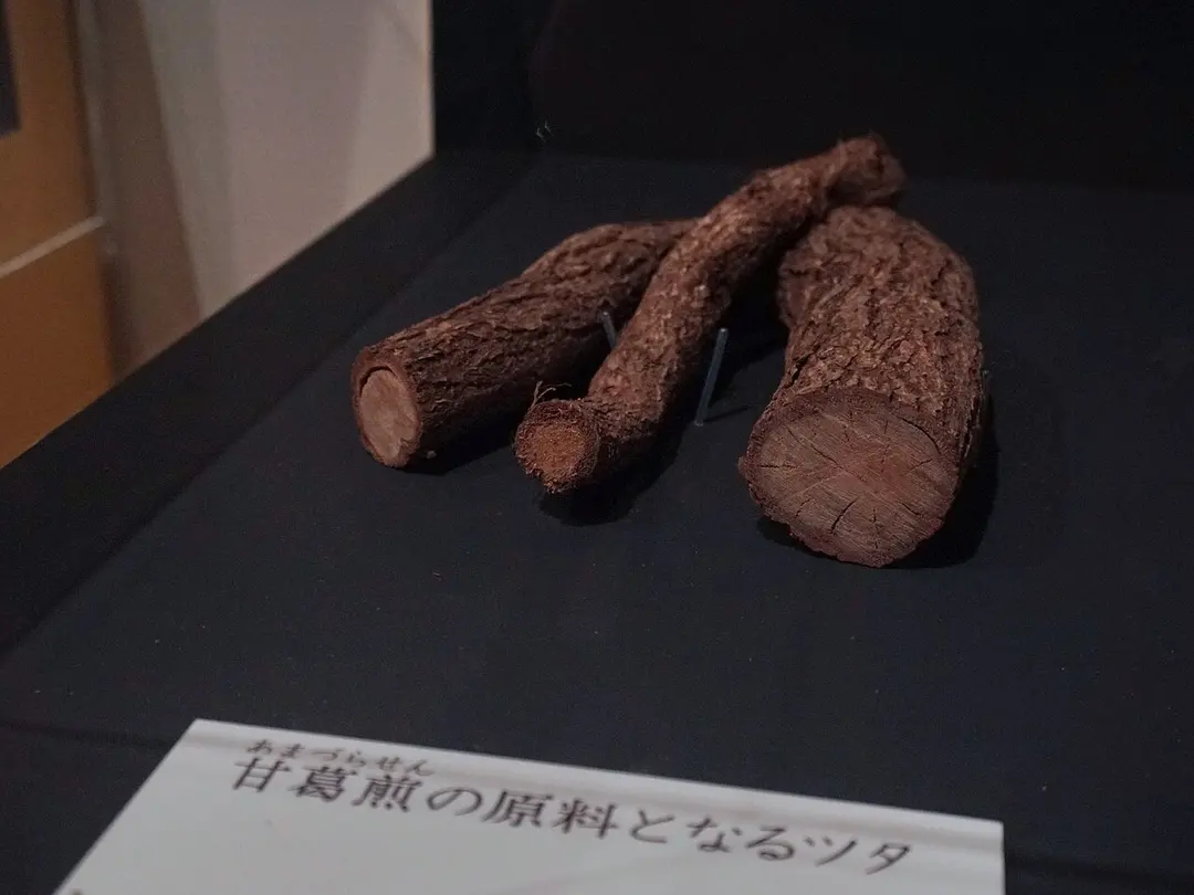 Tohoku Historical Museum