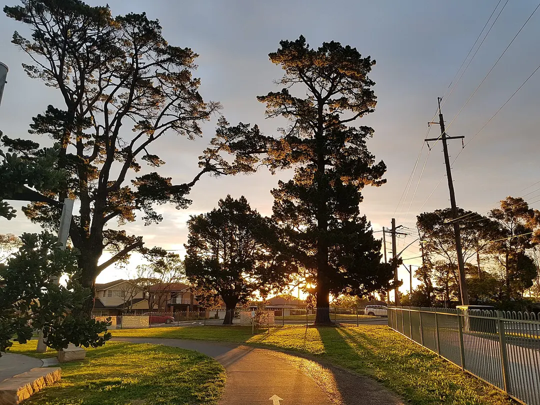 Cooper Street Reserve