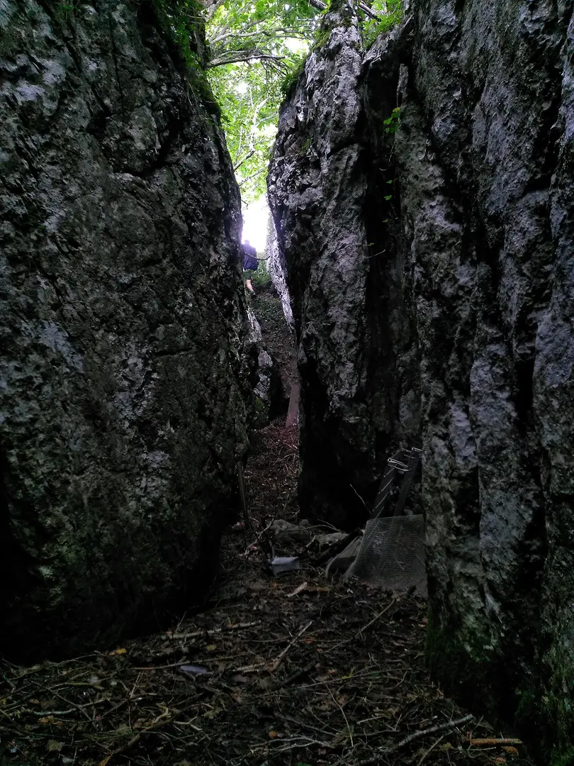 Beltxu