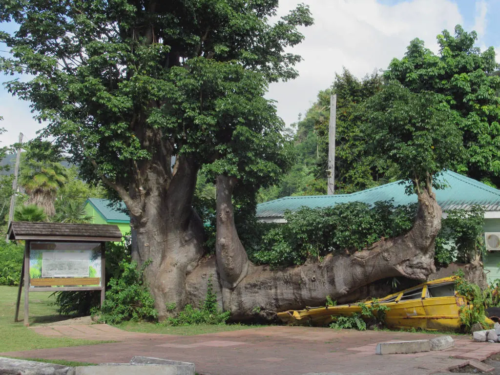 Botanical Gardens