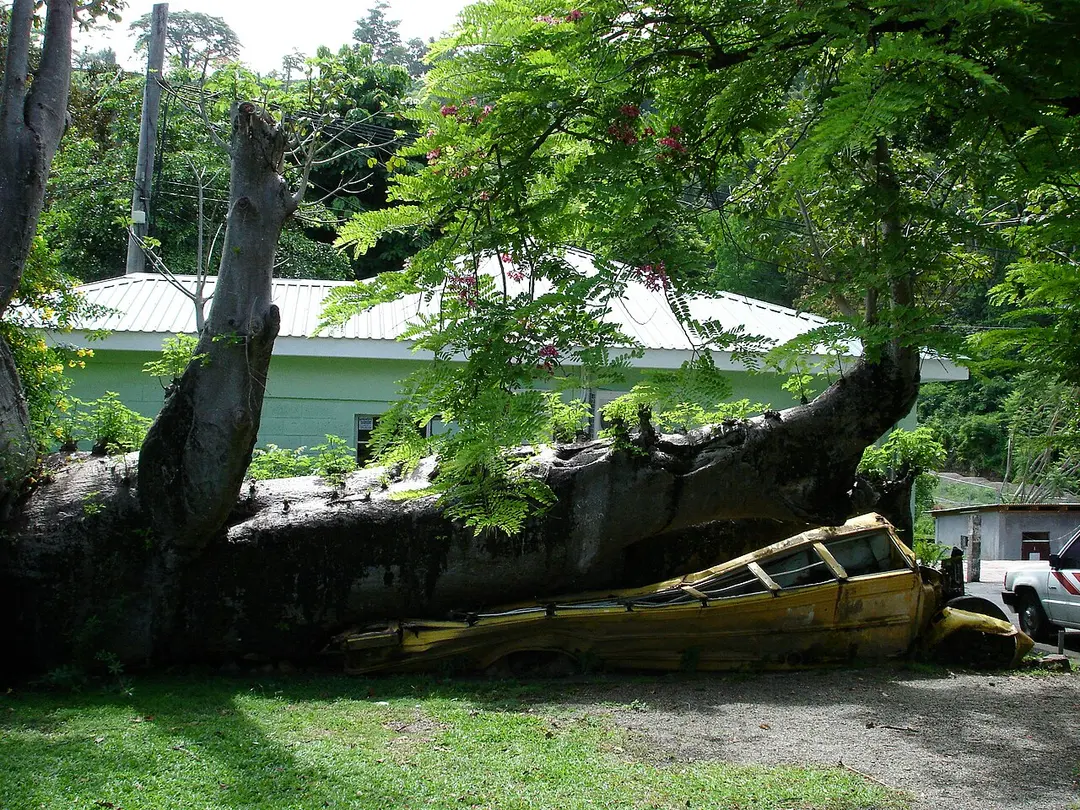 Botanical Gardens