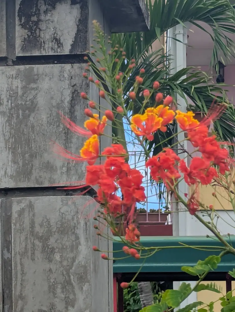 Botanical Gardens